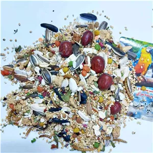 مخلوط درجه1عروس هلندی کوتوله و متوسط جثه(ارسال پسکرایه)