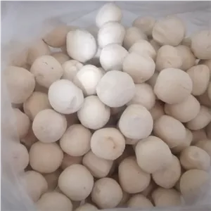 کشک گوسفندی محلی،فصل بهار موجوده