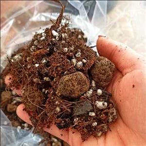 خاک مناسب ارکیده، آنتوریوم و هویا ، 3 لیتری