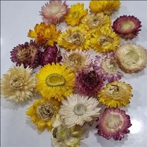 گل مینا معطر آرامبخش سورت تمیز درجه 1