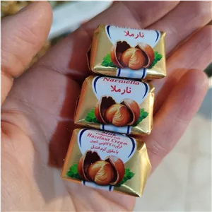 شکلات کاکائویی مغزدار فندقی نارملا آناتا (100گرمی) فندقی