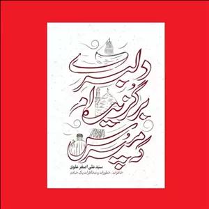 کتاب دلبری برگزیده ام که مپرس خاطرات، خطورات و مخاطرات یک خادم اثر سید علی اصغر علوی نشر سدید