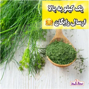 شوید خشک سبز اعلا 250 گرمی اعتماد تازه(سبزی شوید)