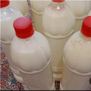 دوغ محلی با شیر گاو ارسال رایگان 