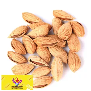 بادام منقا خام ( پوست کاغذی ) نیم کیلو مشرق زمین