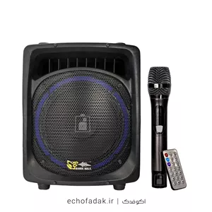 اکو همراه برین صوت مدل 12200 (پس کرایه)