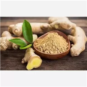 پودر زنجبیل خالص و اعلا 100 گرمی 
