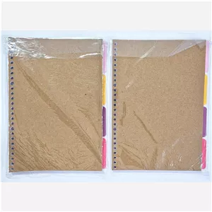 یدک کلاسور 100 برگ برگه کلاسور  