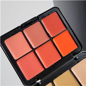 پالت رژگونه و کانسیلر Carla Secret Palette