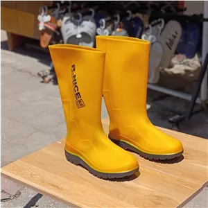 چکمه مردانه ژله ای