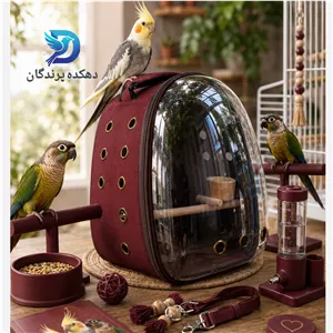 کوله حمل پرندگان زینتی عروس هلندی سایز بزرگ رنگ جگری با کفی جدا شونده