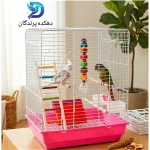 قفس پرنده (پک کامل) عروس هلندی،طوطی برزیلی،گرینچیک،مرغ عشق،فنچ و...