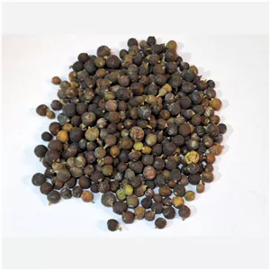 ابهل (میوه سرو کوهی) (کیلویی)