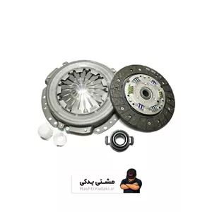 دیسک و صفحه 405 عظام