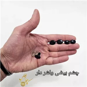 چشم بیضی واشردار