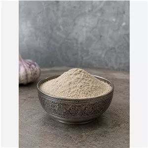 پودر سیر اعلا 100 گرمی(ارسال رایگان)