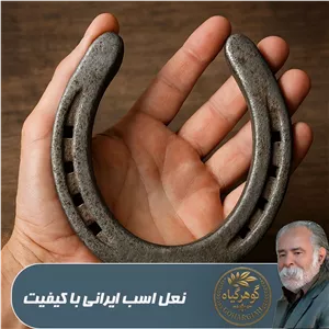 نعل اسب ایرانی با کیفیت