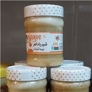 شیر بادام میگون نیمه آماده (400گرمی)