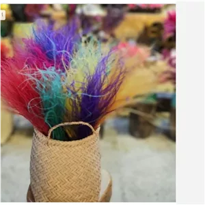 گل خشک ریش بابا در چند رنگ مختلف پسکرایه