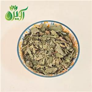 برگ سدر