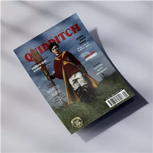 پوستر Harry Potter Quidditch