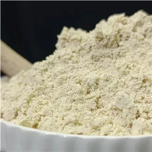 پودر سیر ممتاز