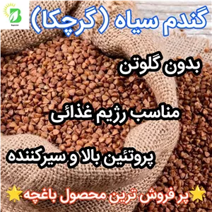 گندم سیاه (گرچکا یا باکویت) اصل روسیه 500 گرمیبدون گلوتنمناسب رژیم و ورزش