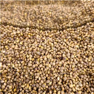 شاهدانه باتینوک