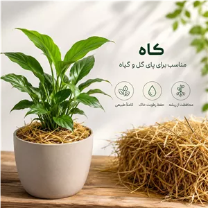 کاه جو با کیفیت پنج کیلو گرمی