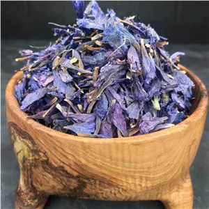 گل گاوزبان