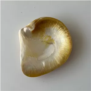 پیش دستی صدفی سرو خاویار