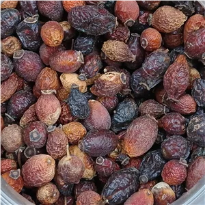 میوه نسترن