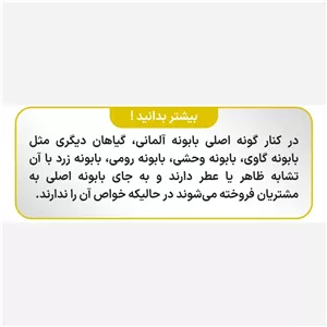 دمنوش بابونه