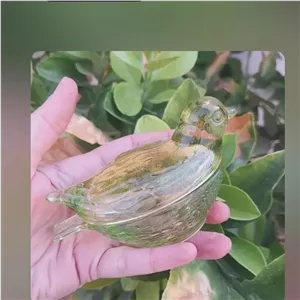 عسل خوری بیدی بوهیمیاگلس چین