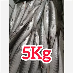 ماهی دولمی یا ماهی چنگو پک 5کیلویی 