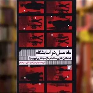 کتاب ماه عسل در آسایشگاه اثر جمعی از نویسندگان نشر خانه فرهنگ و هنر گویا