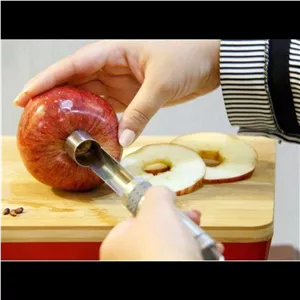 هسته گیر سیب (وسیله ای برای خالی کردن دانه و مغز میوه)