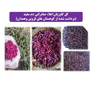 گل گاوزبان امسالی تازه و اعلاء