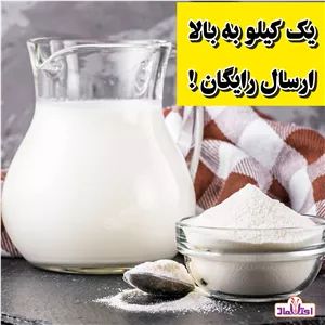 شیر خشک بدون چربی 500 گرمی پگاه(شیرخشک)