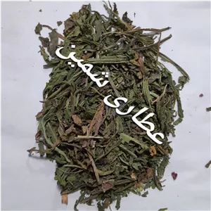 برگ کاسنی (تازه و امساله) 50 گرم (پاکسازی کبد و مقوی قلب )