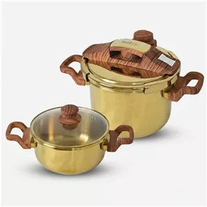 زودپز دوقلو تفال Gold01 باکالیت پیرکس 6 لیتر 50x20x20 سانتیمتر دو دستگیره فرانسه