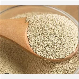 مخمر نان سوپر جت وارداتی درجه یک 50گرمی