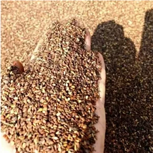 کنجد خام تمیز ممتاز (500گرمی )