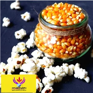 ذرت پاپ کورن (پفیلا) نیم کیلو مشرق زمین ذرت تازه وکم خطا