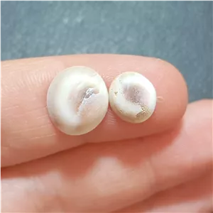 مهره صدف دریایی یا مهره مارطبیعی اصل زیبا