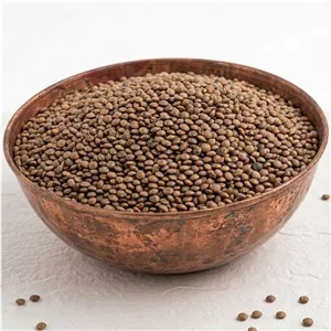 عدس ریز بومی پاک شده و تمیز