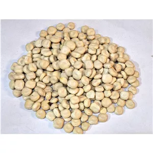 باقالا مصری (100 گرم)