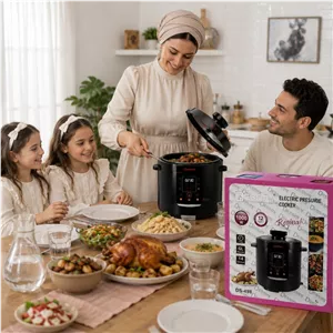 مولتی کوکر 6 لیتری دسینی مدل DS498 KEM