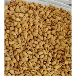 پسته اکبری