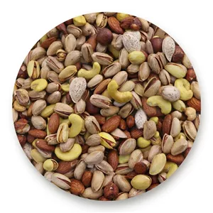 آجیل زرین 500 گرم